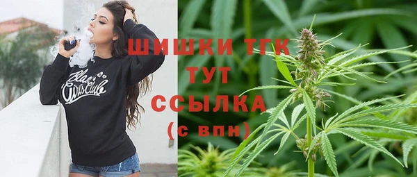 СК Алексин