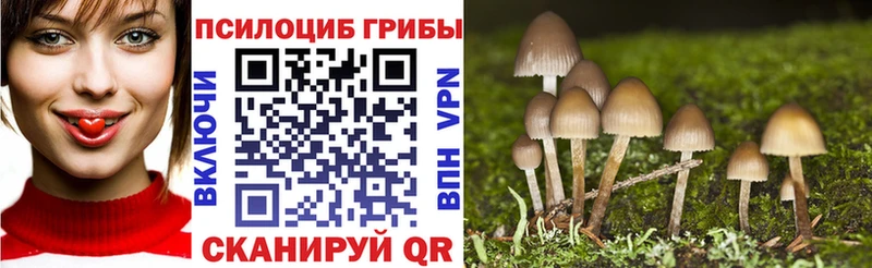 Псилоцибиновые грибы GOLDEN TEACHER hydra tor Приморск